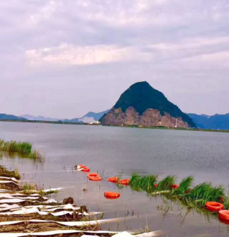 博天堂·918-官方网站|真人游戏品牌